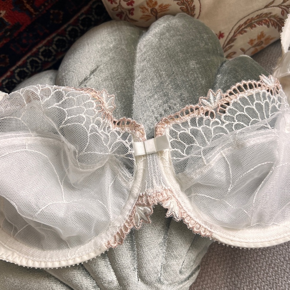 Chantelle Ivory Sheer Lace Underwire Bra with Blush Trim